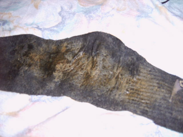 Datei:Powersocke 07.jpg