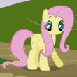 Datei:Suri.gif