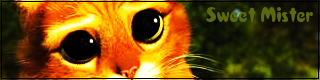 Datei:MisterMeisterSignatur.png