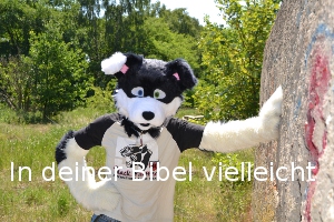 Datei:In deiner bibel.jpg