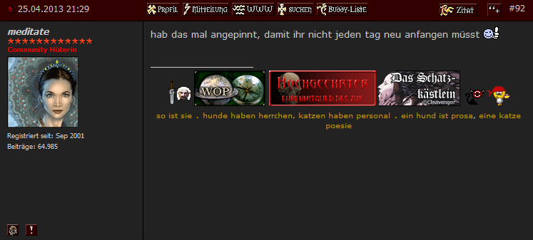 Datei:Medi wiki angepinnt.png