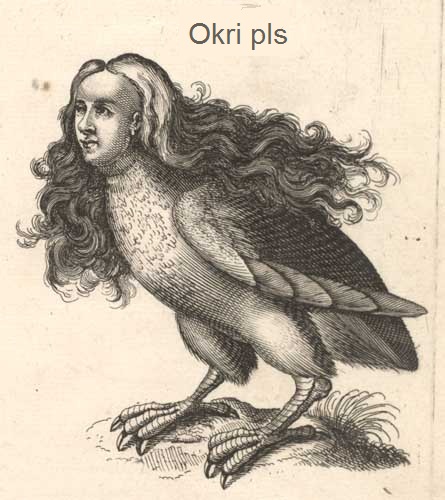 Datei:Orki plz.jpg