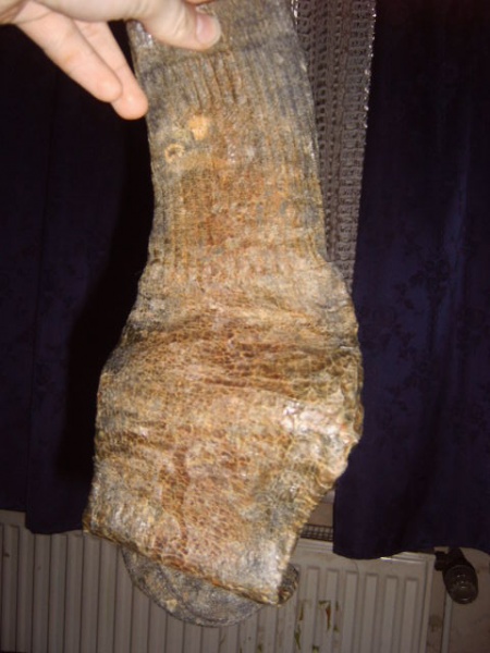 Datei:Powersocke 13.jpg