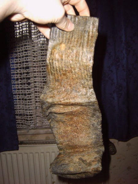 Datei:Powersocke 01.jpg